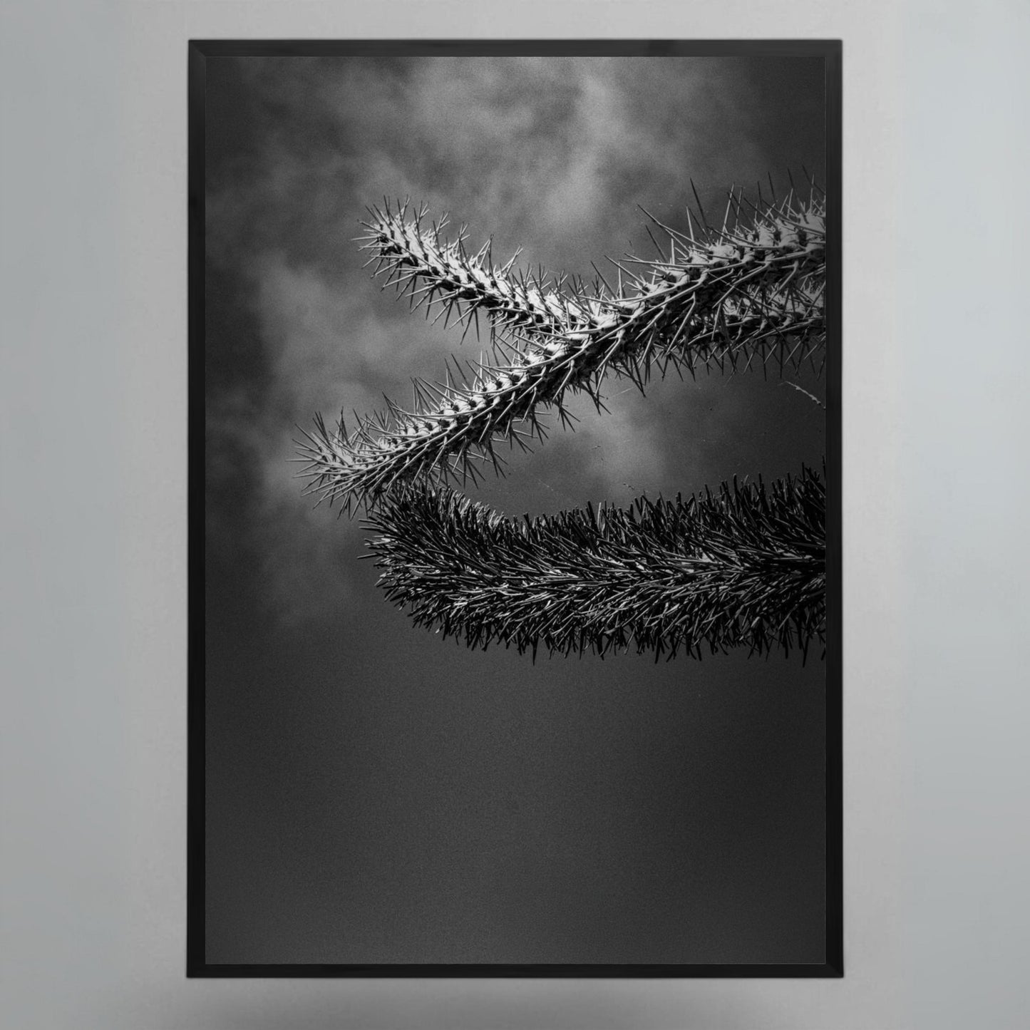 Obra "Cactus" Stefano Munari