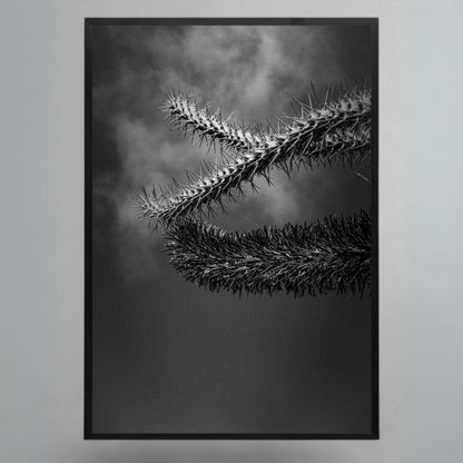 Obra "Cactus" Stefano Munari