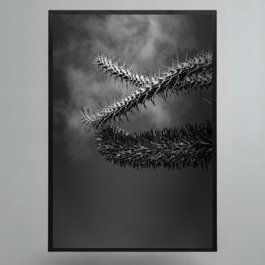 Obra "Cactus" Stefano Munari