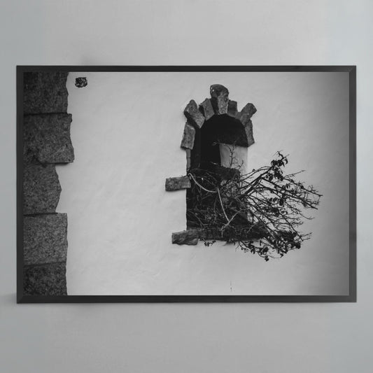 Obra "Rama" Stefano Munari