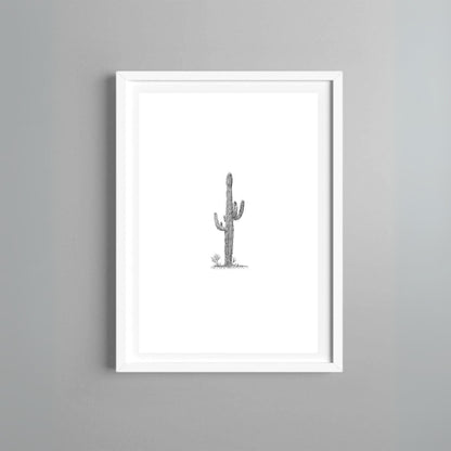 Obra "Cactus" Juliana de la Concha
