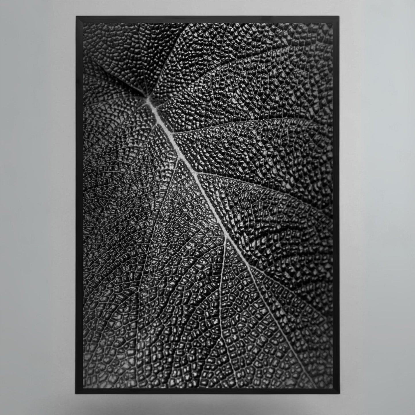 Obra "Trama Organica" Stefano Munari