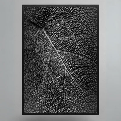 Obra "Trama Organica" Stefano Munari
