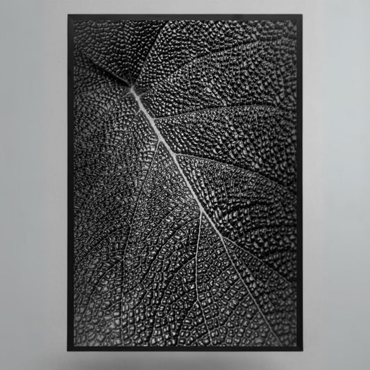 Obra "Trama Organica" Stefano Munari